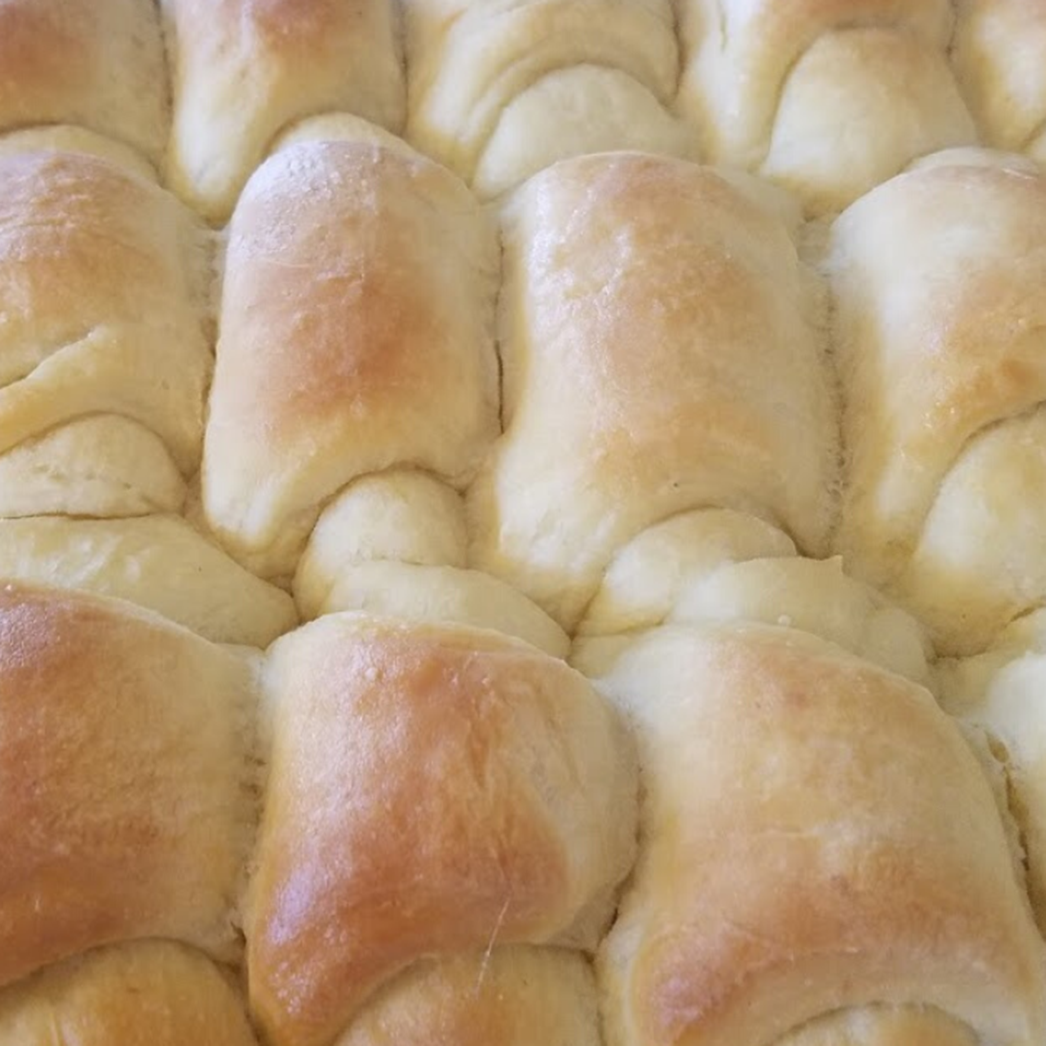 Big White Fluffy Rolls