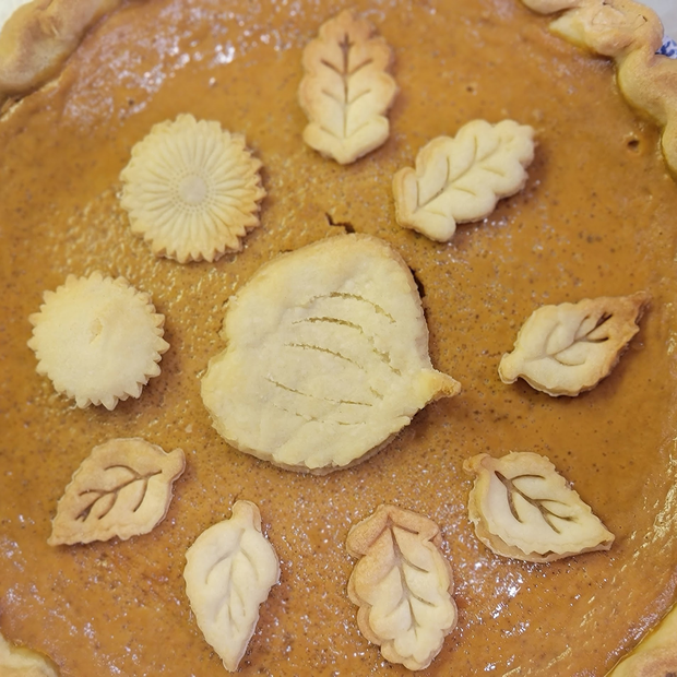 HomeMade Pumpkin Pie w/ Fresh Vanilla Bean Whipped Cream